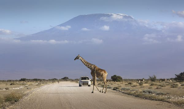 7 of the best road trips in Kenya: top tips for a memorable journey