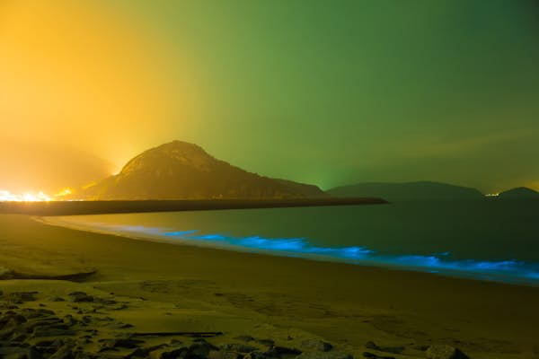 9 of the best places in the world to see bioluminescence