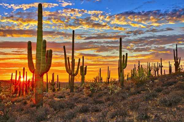 Arizona’s 5 best national parks and monuments to explore