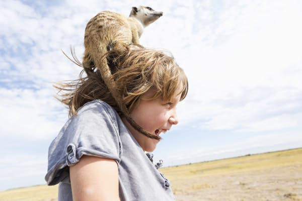 Botswana’s unmissable national parks are truly wild