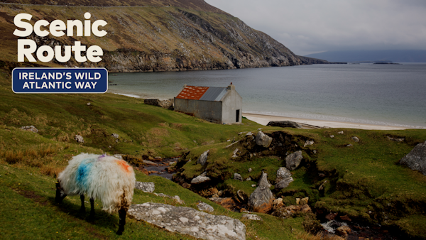Coasts, Castles and Culture: Nine days on Ireland’s Wild Atlantic Way