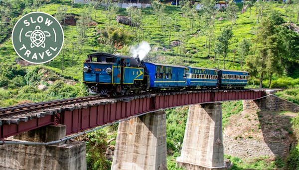 Exploring India’s Western Ghats: trains, tea and terrific wildlife spotting