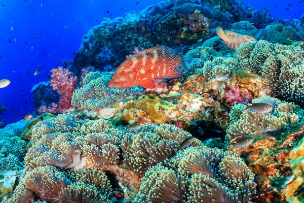 How to be a reef-safe traveler