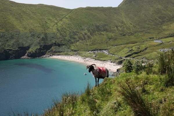 See a different side of Ireland on these 9 stunning islands