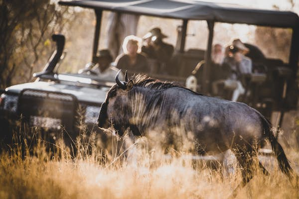 The 8 best road trips in Botswana