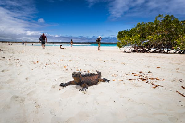 The 9 best beaches in Ecuador are top spots to surf, party and chill