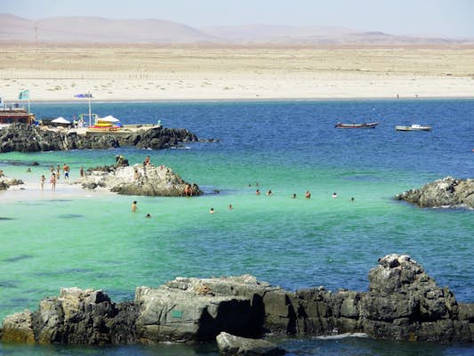 The best beaches in Chile for swimming, surfing and camping