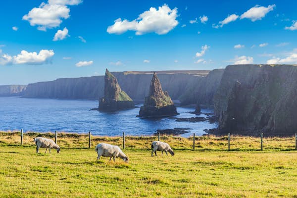 Want to take an extended hike along Scotland’s east coast? Here’s how