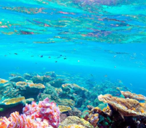 Diving in Australia’s Great Barrier Reef: A Glimpse into the Wonders Below