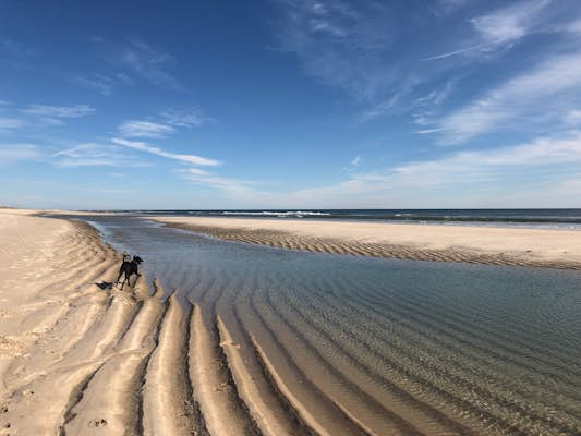 10 blissful beaches on Long Island