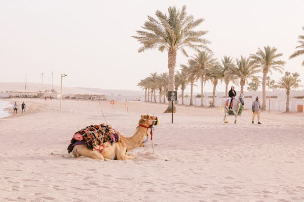 10 of the best beaches in Qatar, from luxury private resorts to family-friendly public sands