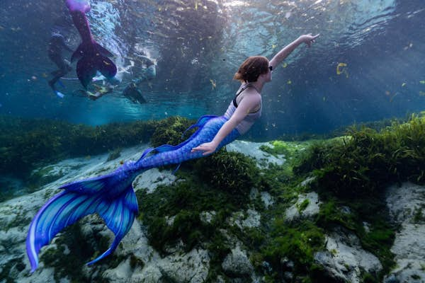 Get into: mermaiding in Florida… how to swim with the fishes and live your own Little Mermaid dream