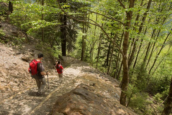 The top 6 hikes in the Great Smoky Mountains National Park