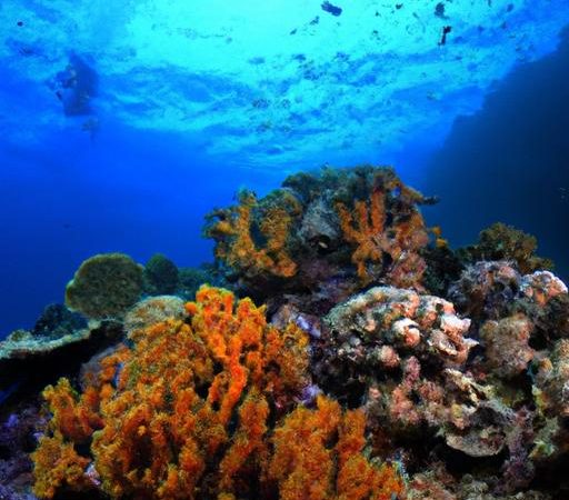 Luxury Diving: Exploring the World’s Most Beautiful Coral Reefs Under the Sea